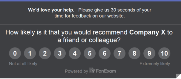 FanExam Survey Example